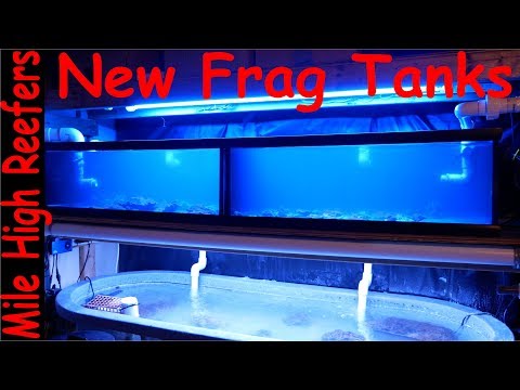 I Get New Frag Tanks, Then I Break One