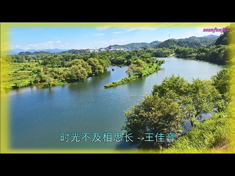 【时光不及相思长】演唱 :王佳音