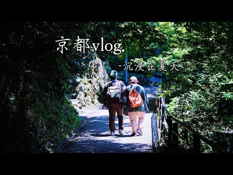 京都VLOG｜就像做了一场沉浸在绿色世界的梦｜三千院 三十三间堂 贵船神社 下鸭神社｜叡山电车｜南蛮炸鸡or炸猪排？