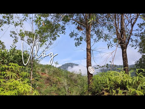 日常vlog | 周末去万里望走山