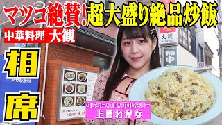 【マツコ大絶賛!】超大盛り絶品炒飯