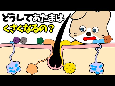 【アニメ 絵本読み聞かせ】頭を洗うのが嫌いな子どもの絵本〜どうして頭は臭くなるの？〜