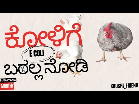 ಯಾವುದೇ ಗಡಸು ನೀರಿದ್ದರೂ ಸುಣ್ಣ ಸಾಕು E coli ಬರಲ್ಲ