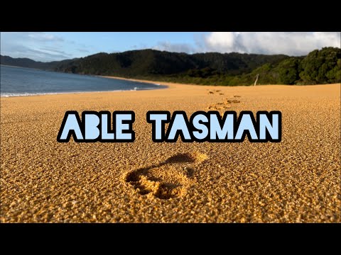 Finding The Best Beach in Able Tasman | New Zealand