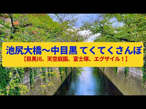 【てくてくさんぽ】池尻大橋〜中目黒  目黒川の崖線、邸宅と庭園〈西郷山公園、代官山、目黒川の桜〉Walk around Meguro River,TOKYO JAPAN