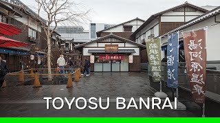 Toyosu Senkyaku Banrai in Tokyo (Japan 🇯🇵 Vlog) | 豊洲 千客万来