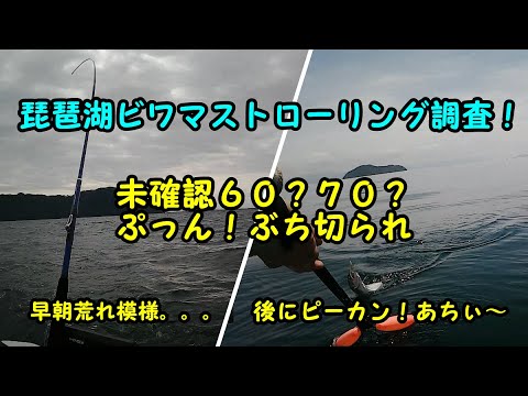 令和5年5月28日　琵琶湖ビワマス調査！