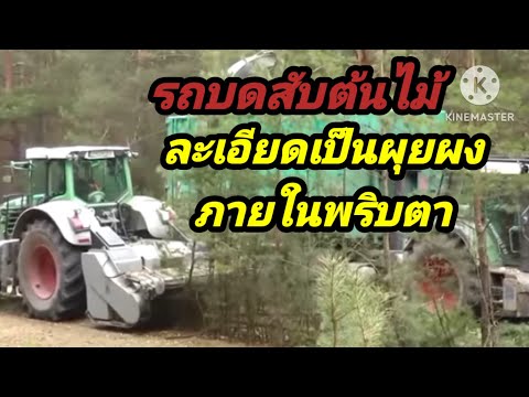 รถบดสับต้นไม้ของต่างประเทศ