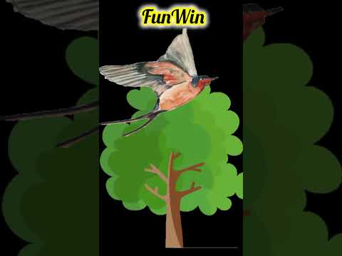 Birds #shortsviral #youtubeshorts #trending #tree