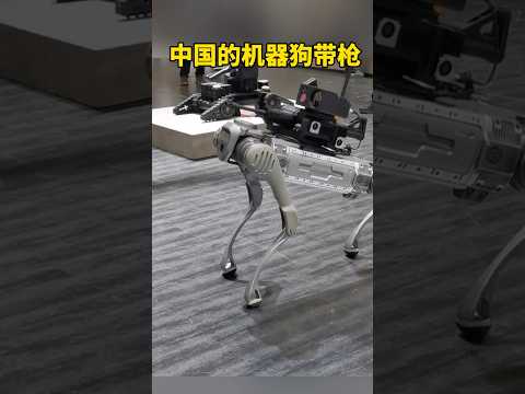 China’s robot dog has a gun