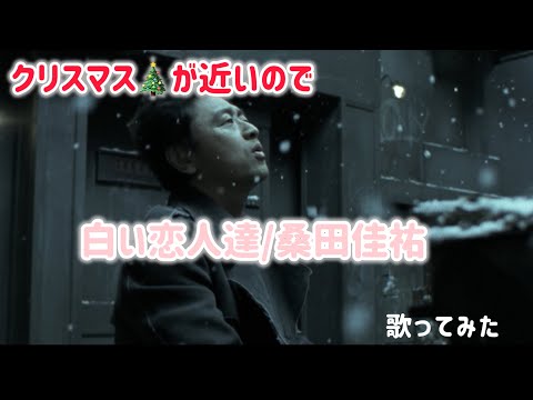 クリスマスが近いので 白い恋人達/桑田佳祐 歌ってみた