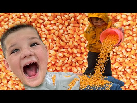 BURiED in CORN!! Caleb Goes to the Pumpkin Patch with friends! A family Halloween Tradition.