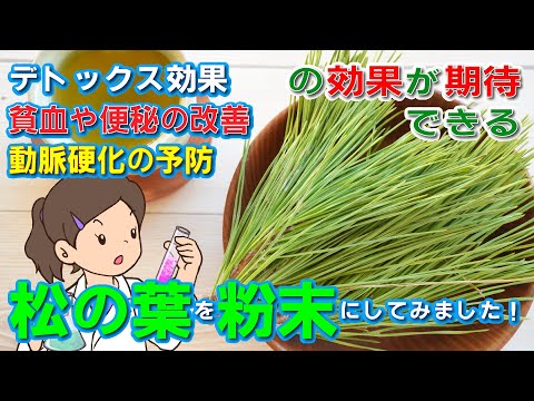 デトックス効果やリラックス効果のほかに、貧血や便秘の改善、動脈硬化の予防などといった効果が期待できると言われてる「松の葉」を粉砕してみました！