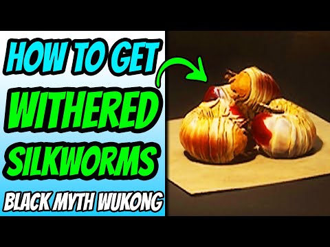 How To Get Withered Silk Worms - Best Farm Spot - Black Myth Wukong