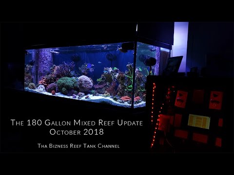 180G Mixed Reef Update for October 2018