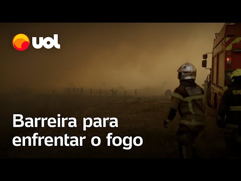 Jardim Botânico do Chile planta árvores mais resistentes a incêndios