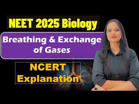 ONE SHOT- BREATHING AND EXCHANGE OF GASES [NEET 2025] |  Class 11 NCERT Explanation #neet #neet2025