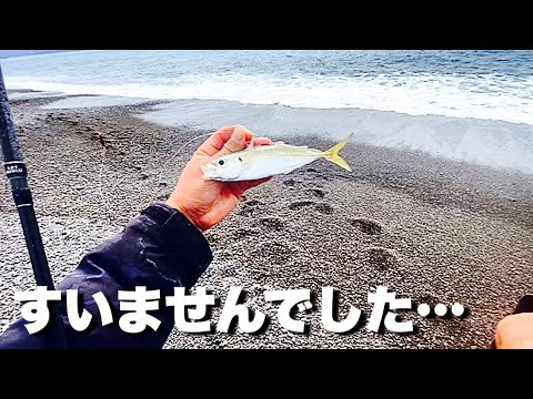 誰も居ない砂浜に生きたアジをぶっ込むと…最悪の事態になった