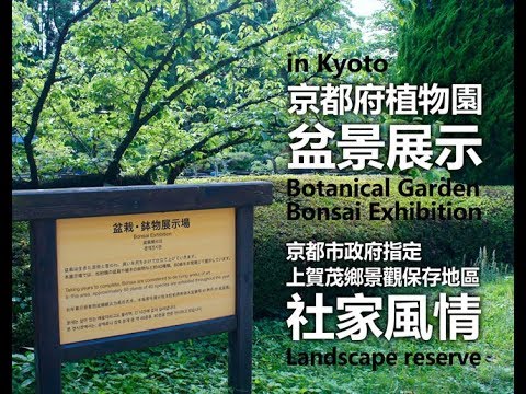 Kyoto Prefectural Botanical Garden Bonsai Exhibition. Kyoto designated landscape reserve