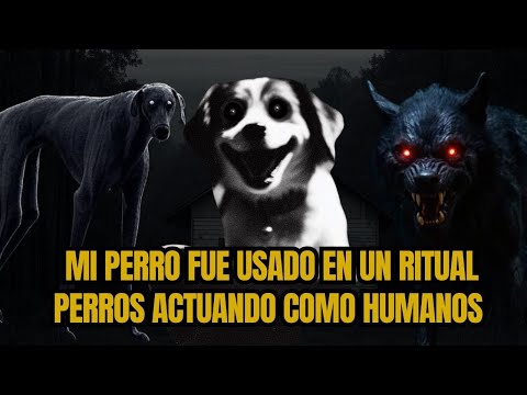 4 Nuevas historias de Perros actuando como humanos/Gato Macabro.