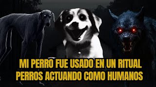 4 Nuevas historias de Perros actuando como humanos/Gato Macabro.