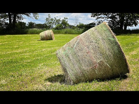 Odd Bale Roundup & JCB Teleskid 3TS-8T Digs Trenches for STARLINK