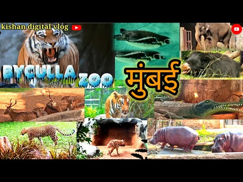 मुंबई चिढ़ाया घर ।। Byculla zoo mumbai । complete tour Guide of Rani Bagh । Byculla zoo Mumbai