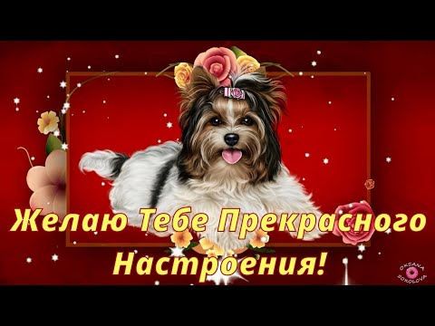 Я Желаю Тебе Прекрасного Настроения! Позитива! Красивая Музыкальная Открытка и Чудесная Песня!