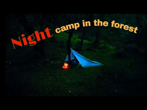 Night camp in the forest🌩️#overnight #adventure #camp #bushcraft #jungle #outdoor #green #wild camp,