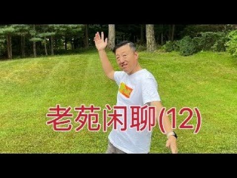 老苑闲聊12，聊聊本周巨幅震荡市场中的心态，回答朋友们感兴趣的话题