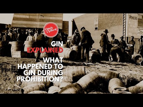 What Happened to Gin During Prohibition? | Gin Explained | FDM | Drinks Network