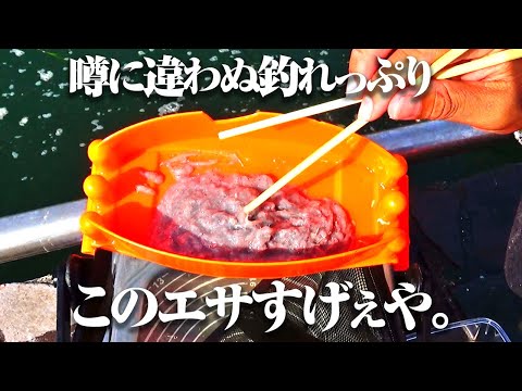 サビキ釣りで“とあるエサ”を使うと超釣れる！！と聞いて試してみた結果…とにかく数を多く釣りたい！！という人にはオススメ