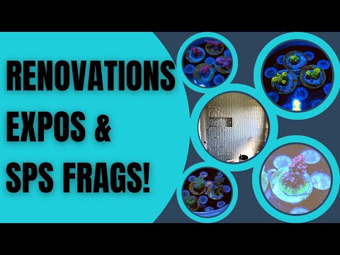 Dream Reefs, Renovations, Expos & Frags!