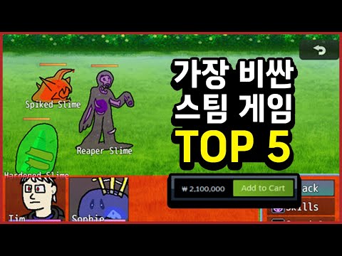 스팀에서 가장 비싼 게임들 TOP5