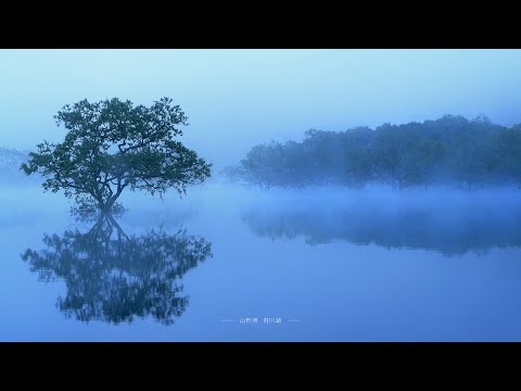 TOHOKU Relax 東北へ、東北へ。15秒