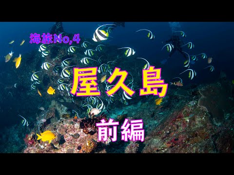 Sea Trip No.4: Yakushima Part 1