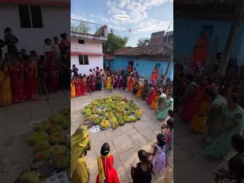 Chhatisgarh culture bhojli संस्कृति bhojli geet bhojli visharjan song #cg