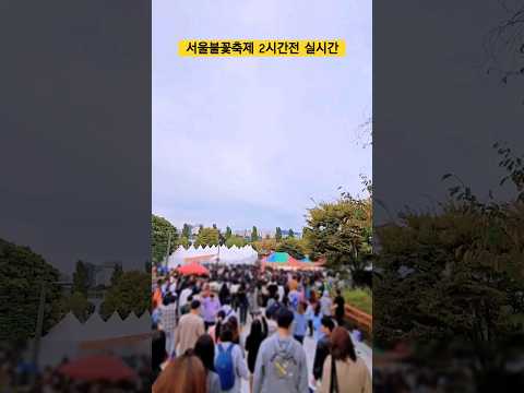 50만 대군 집결중 서울불꽃축제