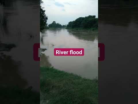 River flood#shortsvideo #trendingshorts #shortsviral #nature #viral #adventure