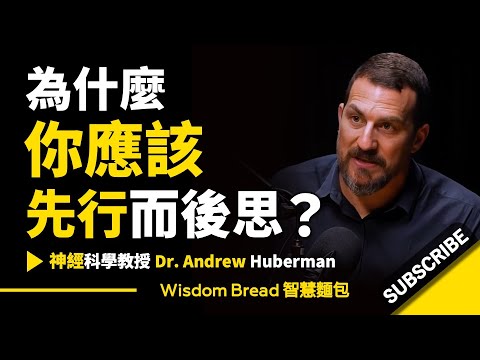 為什麼你應該「先行而後思」？► 大多數人都弄反了... - Dr Andrew Huberman 安德魯．胡伯曼博士（中英字幕）