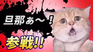 変わった鳴き声の猫 全員参戦！Part3【旦那ぁ〜！】