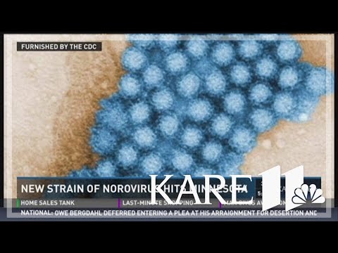 Norovirus cases double in Minnesota amidst holidays