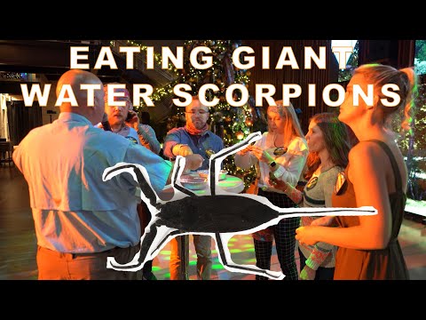 Eating Giant Water Scorpions! Insane “Survivor” Christmas Party!