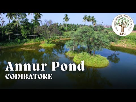 EFI's Annur Pond | Coimbatore