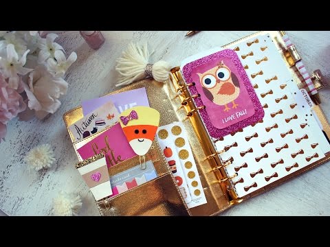 How I Decorate My Planners For Fall! Erin Condren & Dokibook