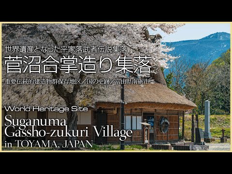 【富山／世界遺産】菅沼合掌造り集落／世界遺産となった平家落武者伝説集落 - Suganuma Gassho-zukuri Village in TOYAMA, JAPAN