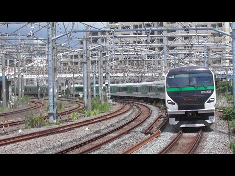 【東海道線】特急踊り子9号 E257系5000番台9両　大船駅　2023.8.14