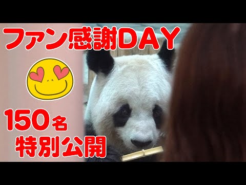 【休園日にパンダファン招待】見つめられて感謝感激😂神イベントに大潜入🤗