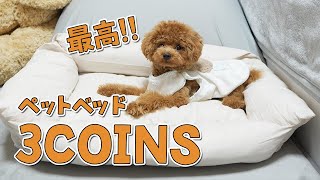 【3COINS】子犬にスリーコインズのペットベッドを買ってあげたら最高すぎた！