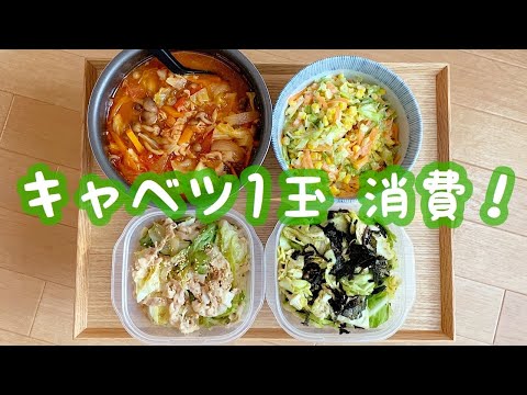 【キャベツ1玉使い切り】一人暮らしの簡単すぎる作り置き